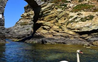 Day Trip from Athens to Andros Island