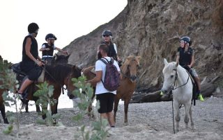 Andros Horseback Riding Tour