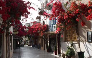 Athens to Mycenae and Nafplion Private Day Tour